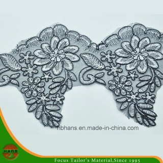 2016 New Design Embroidery Lace on Organza (HD-027)