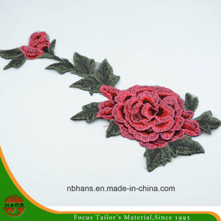 2017 New Design Embroidery Lace (HANS-CH09)