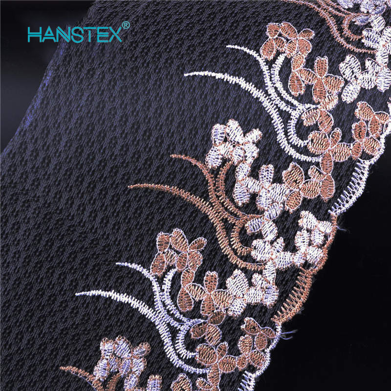Hans Factory Prices Fashion Lace Border Fabric