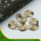 4 Holes New Design Camouflage Button (S-003)