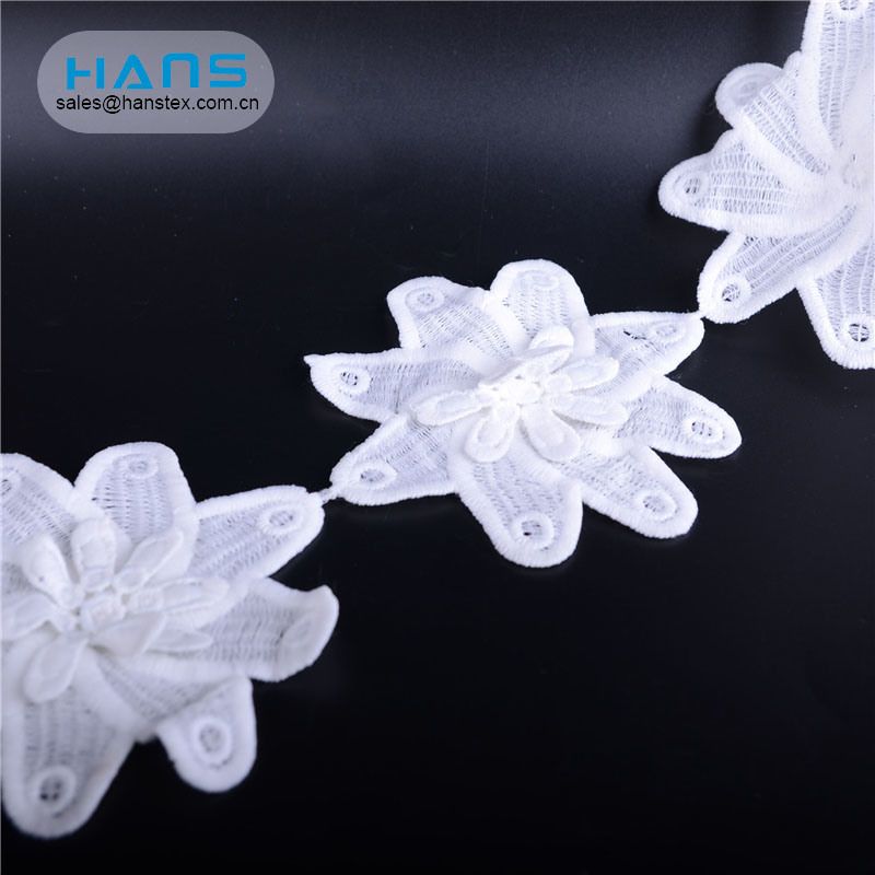 Hans Directly Sell Dress Swiss Dry Lace