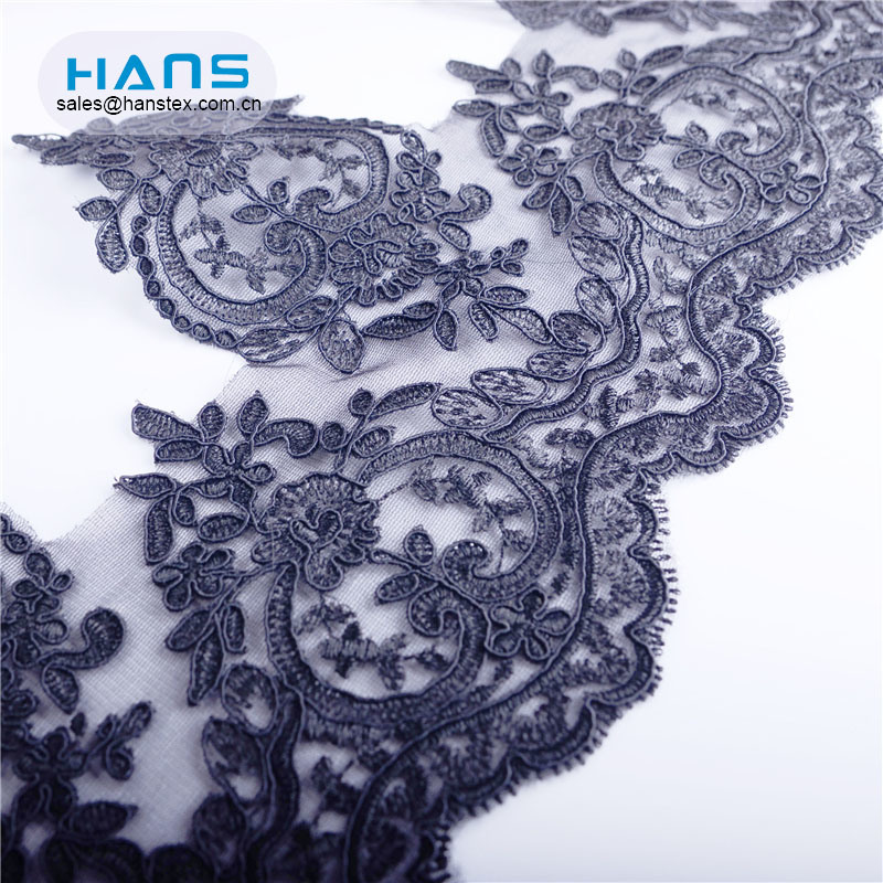 Hans Cheap Price Popular Big Heavy Lace Swiss Voile Lace