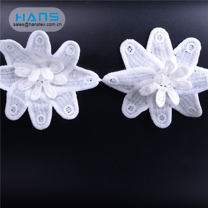 Hans Directly Sell Dress Swiss Dry Lace