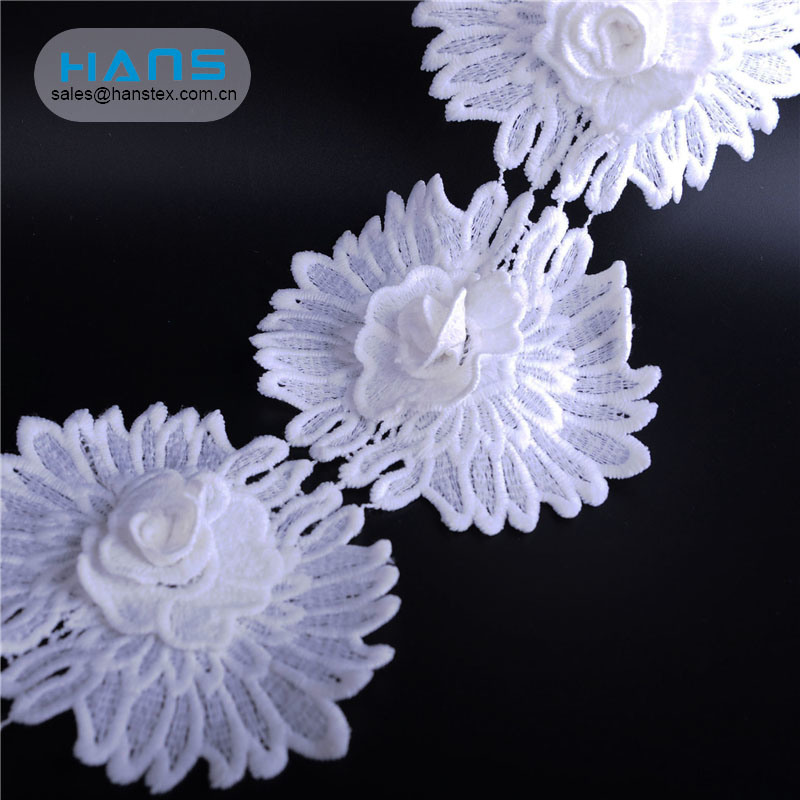 Hans China Supplier Promotional Voile Lace