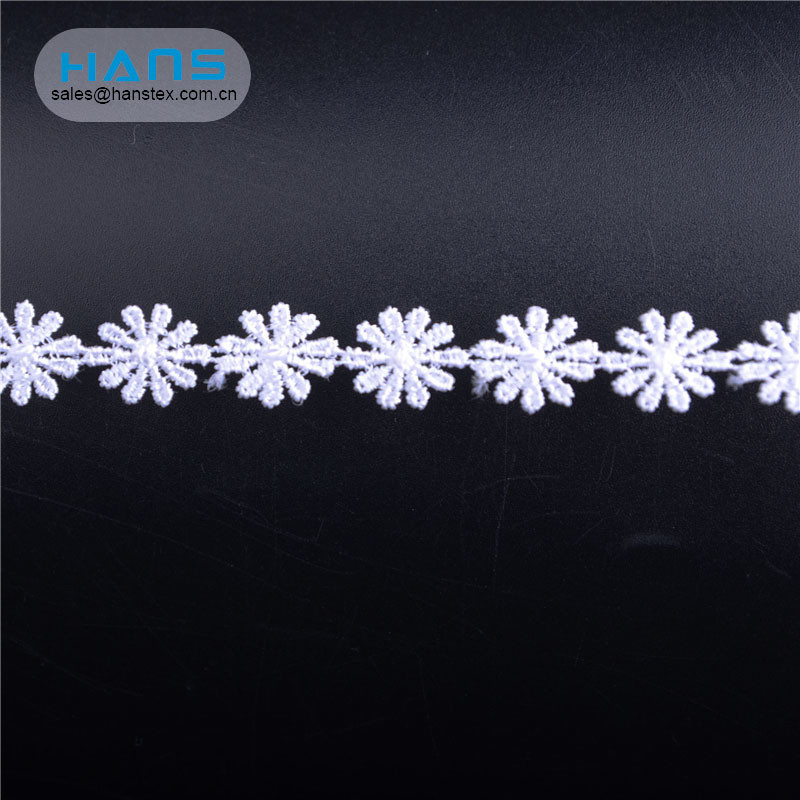 Hans Easy to Use Apparel Indian Embroidery Lace